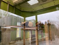 Cancer support thread #82