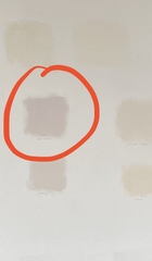 Dulux Dusted Fondant - recommendations for similar?