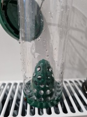 What do you put in this kind of bird seed feeder?