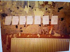 Do any of you have a pet that you actually just can't fucking stand?