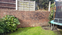 What to plant in front of this wall?