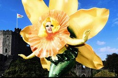 Drag Queen at a Primary School  - continuation thread here - https://www.mumsnet.com/Talk/am_i_being_unreasonable/4490413-Drag-Queen-at-a-Primary-School-Thread-2?watched=1