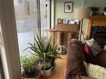 To ask you to show me your gorgeous fancy houses?