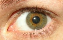What is my eye colour?