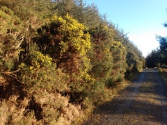 Nature Notes: the 2022 edition