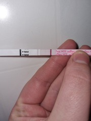 Ttc after misscarriage