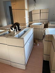 Kitchen is being delivered today - chaos!