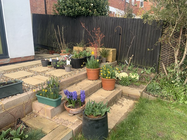 Grey fence...what do you think?