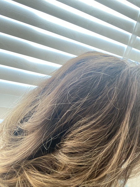 How much do you pay for your highlights/ cut?