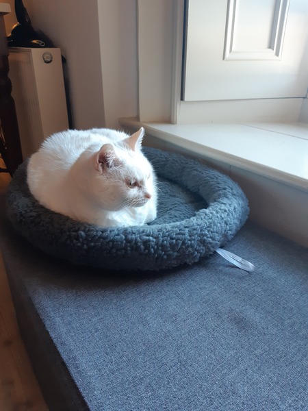 Snorg is boycotting her tipi!