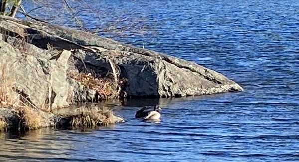 Come and tell me your dull and unexciting news 22: Calmly through the day