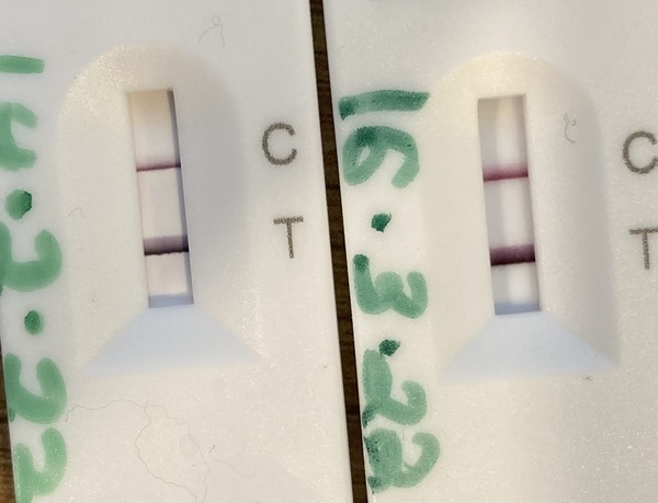 Day 9 - Dark Positive