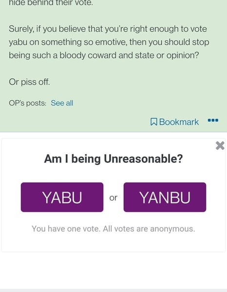 To think that voting yanbu on a clearly emotive thread and not putting your opinion to your vote is cowardly.