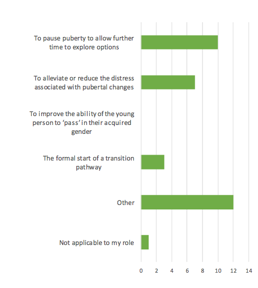 The Cass Review- Interim Report