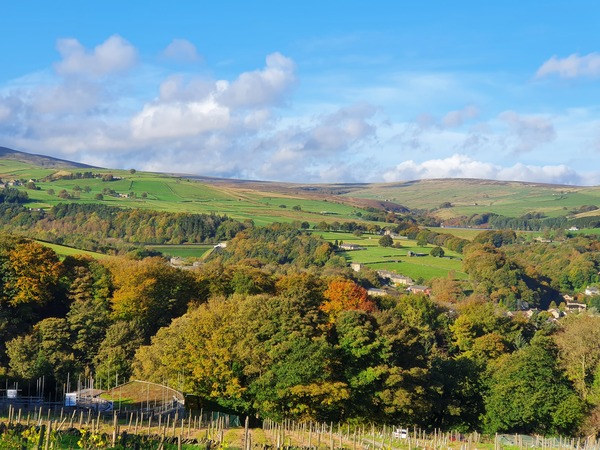 Best vineyards to visit in England