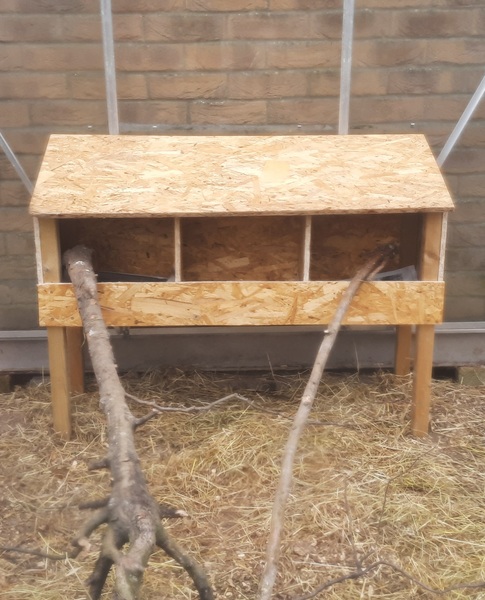 Newbie night enclosure questions..