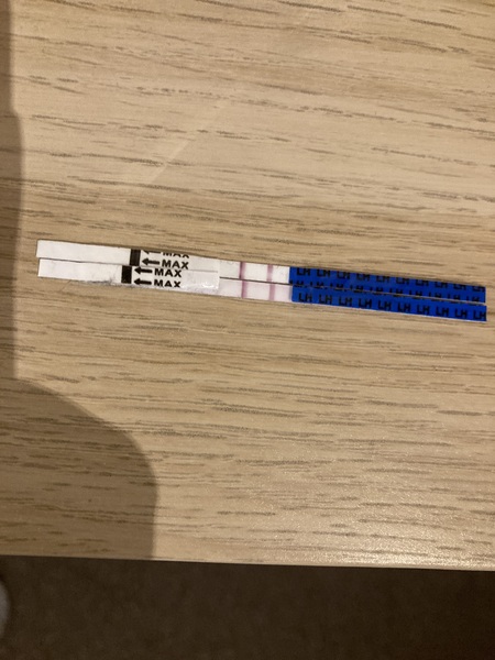 Positive ovulation test cycle day 31