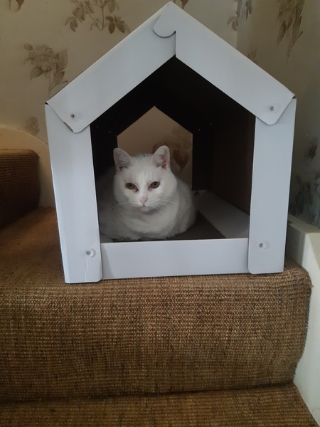 Snorg is boycotting her tipi!