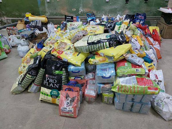 Which Ukrainian animal charities should I donate to please?