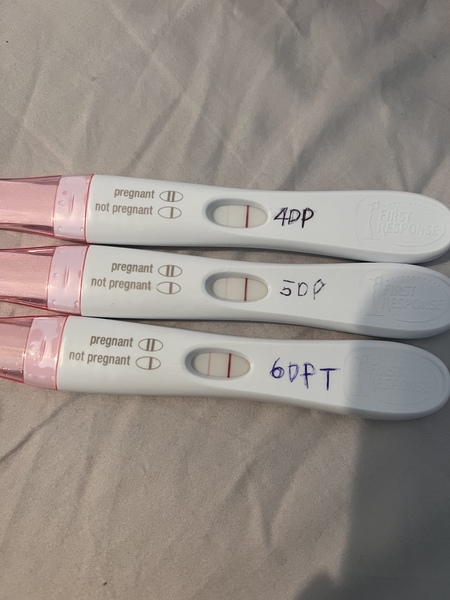 IVF/FET FEB MARCH No 4 2022