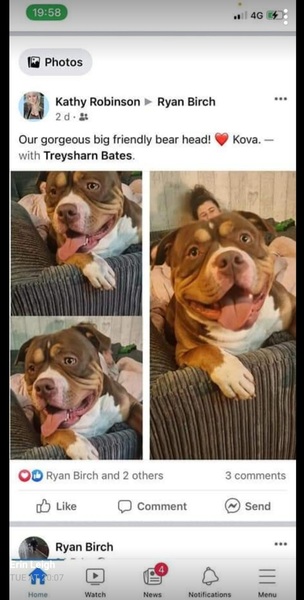 Dogs… To think it doesn’t matter whether it’s a legal breed or not?!