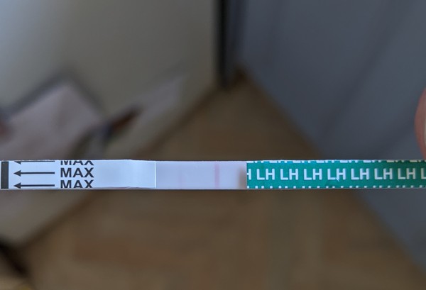 Is my Ovulation test right?