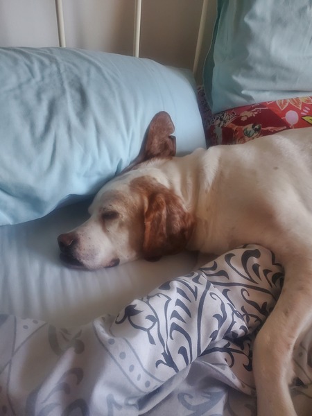 Oldies Appreciation Thread: Snoozing through the day