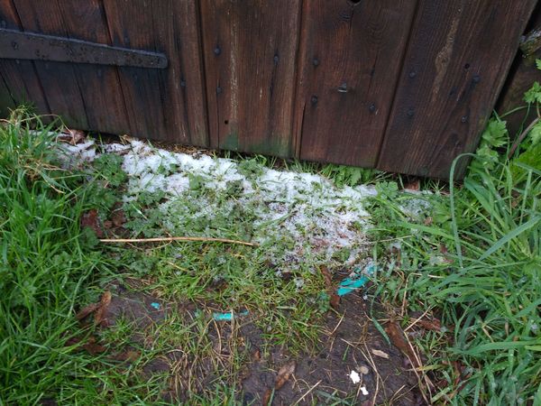 Swagger Inn 171.  Spring is just around the corner, but the HBFs still need their overcoats to keep us warm.