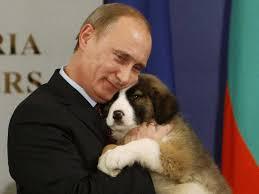 Russian moggies banned from competing