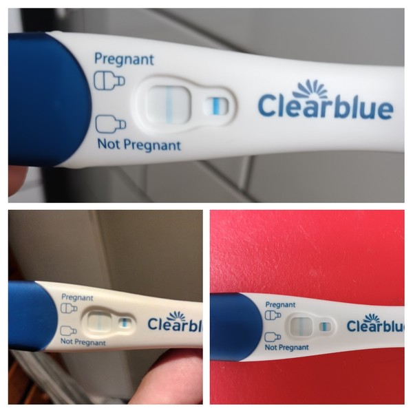 Due October 2022 thread #2 ... the first trimester continues!