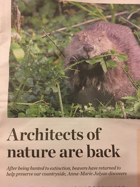 To say that job titles shouldn't include the word 'architect' unless they are actually an architect?