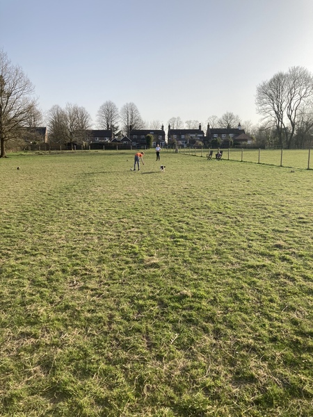 Puppy Survival Thread: muddy footprints into Spring 2022