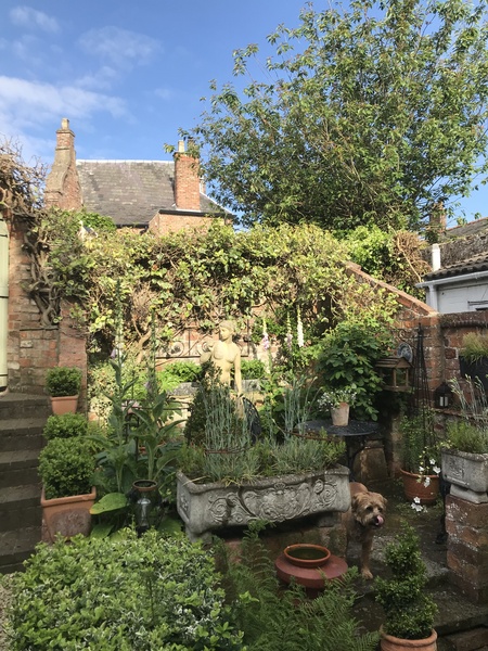 Small yard garden - ideas, please!