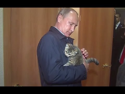 Russian moggies banned from competing