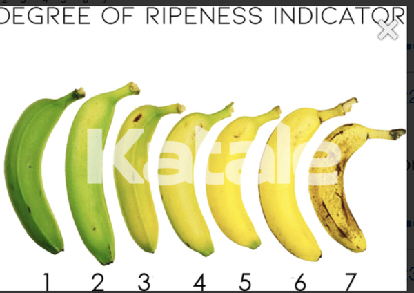 To think the best time to eat a banana is on the first day?