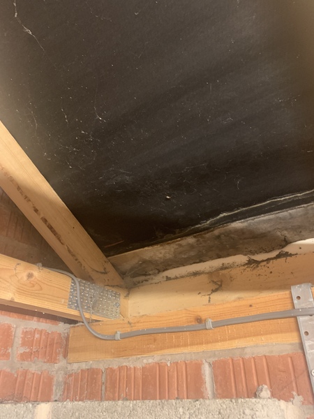 Help! Why is my garage roof damp?