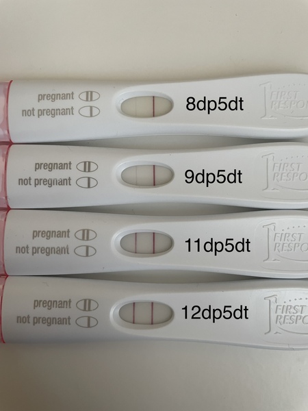 IVF/FET FEB MARCH No 4 2022
