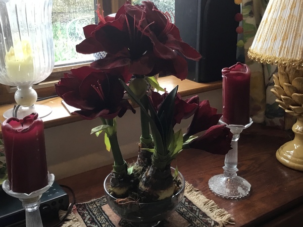 Are there any silk flower fans out there?