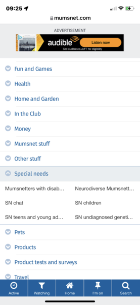 In wanting Disabled MNetter as a topic title ?