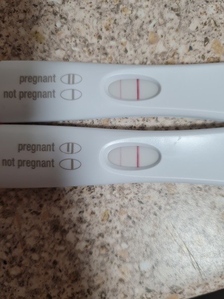 ✨ CD10 ttc after loss 🌈 who's with me for the new year?
