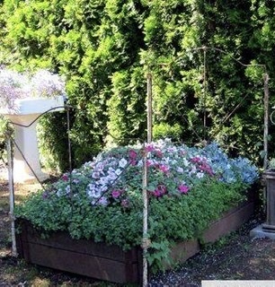 The Vegetable Patch