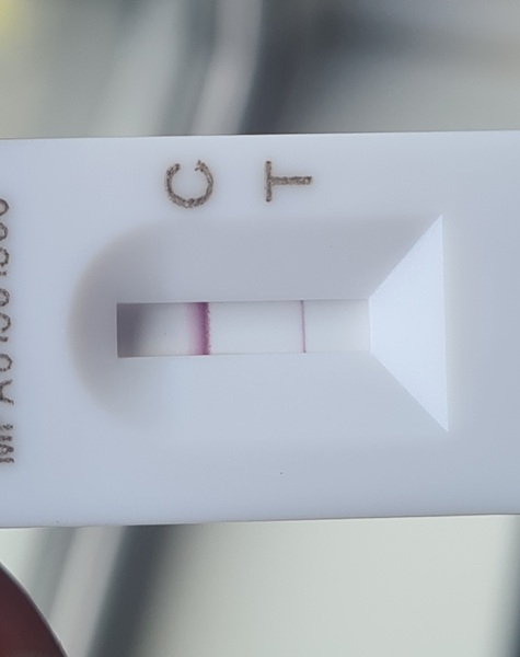 Test completely negative until dead on 30 mins