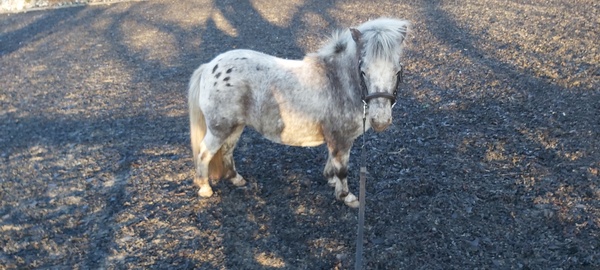 Adrienne yoga daily thread: get a Move on in March