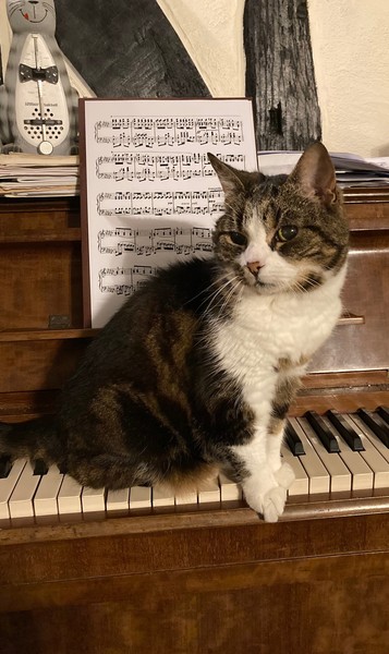 Cancer support thread #82