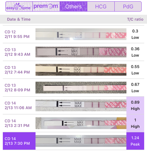 Ovulation