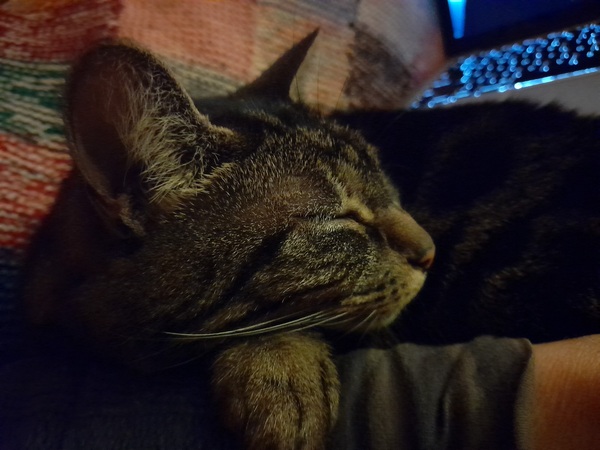 Come on in, chat thread