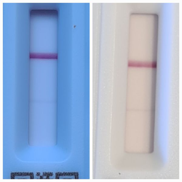 Is anybody else currently positive?