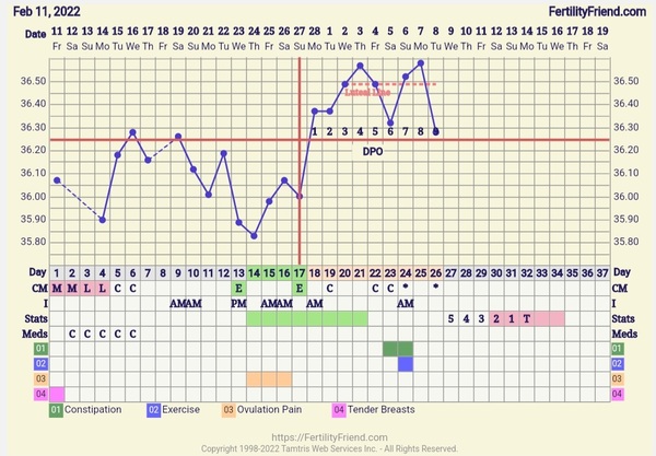 Fertility Appointments and Beyond.... the journey continues