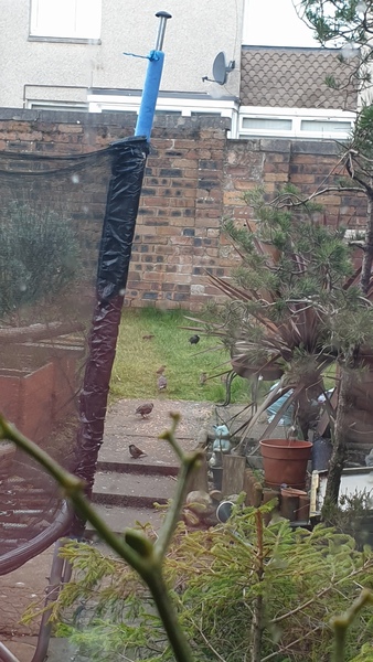 Nature Notes: the 2022 edition