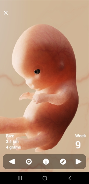 Due October 2022 thread #2 ... the first trimester continues!